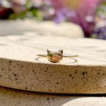 Anel-Liso-Medalha-Gato-Banho-de-Ouro-18K