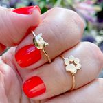Anel-Liso-Medalha-Gato-Banho-de-Ouro-18K