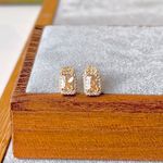 Brinco-Cristal-Podange-Retangular-Cravejado-Banho-de-Ouro-18K-