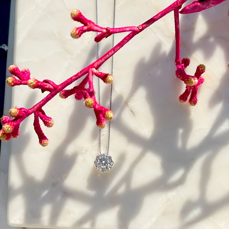 Colar-Zirconia-Branca-Flor-Cravejado-Prata-925-
