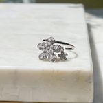Anel-Zirconia-Branca-Flor-Inteira-Com-Cravacao-de-Garra-Prata-925
