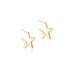 Brinco-argola-estrela-zirconia-branca-banho-de-ouro-18k