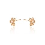 Brinco-Flor-Zirconia-Champanhe-Petalas-Banho-de-Ouro-18K