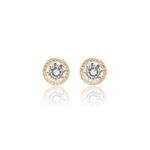 Brinco-Ponto-de-Luz-Cravacao-Halo-em-Garras-de-Zirconia-Branca-Banho-de-Ouro-18k