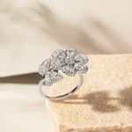 Anel-Flor-e-Folhas-com-Zirconias-Brancas-Baguete---Prata-925